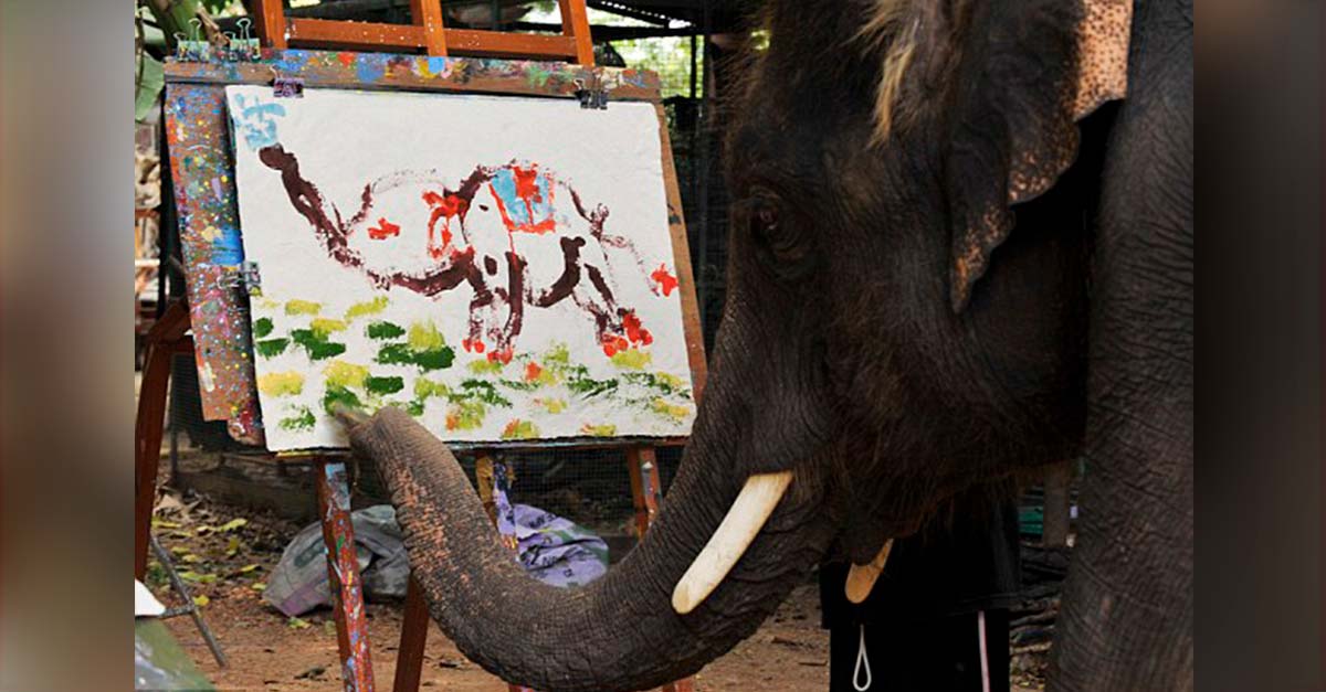 Elefante rescatado pinta un elefante libre y feliz, recuerdos de una vida ya perdida