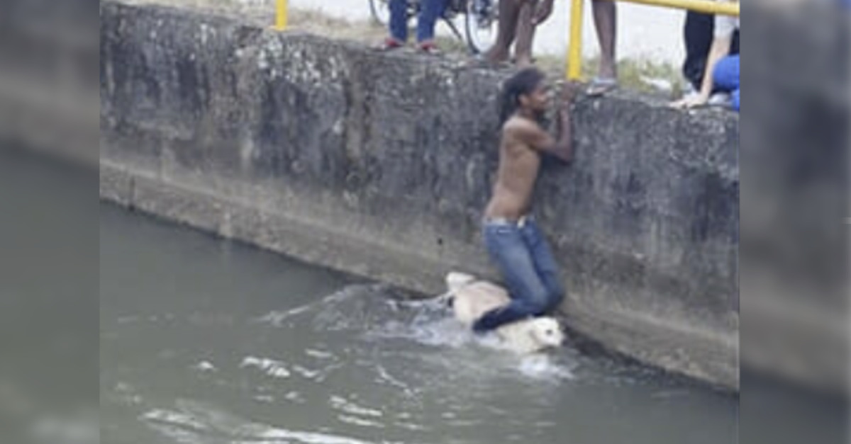 Este joven arriesgó su vida para salvar a un perrito callejero que se había caído al río