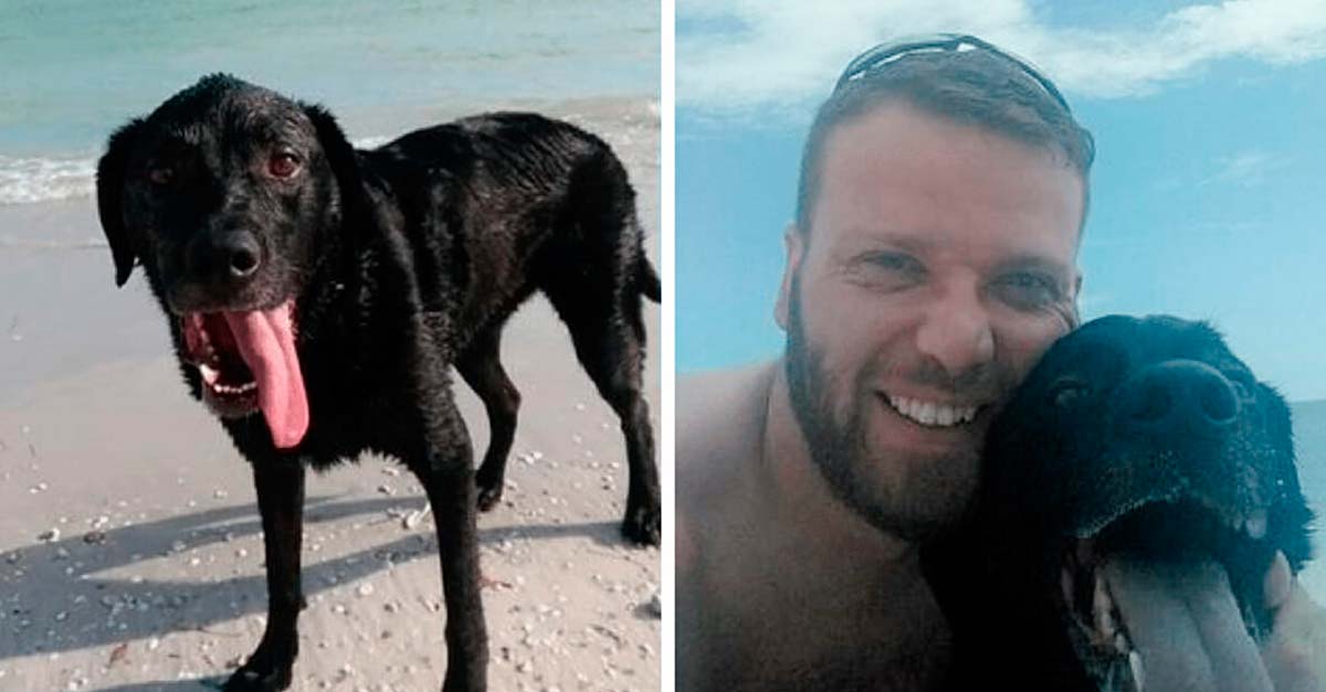 Llevó a su perrito a la playa pero este falleció por culpa del agua salada