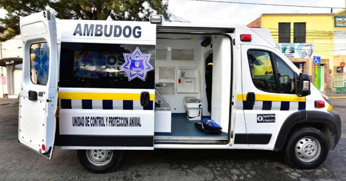 México estrena la “Ambudog” la primera ambulancia para atender animales sin hogar