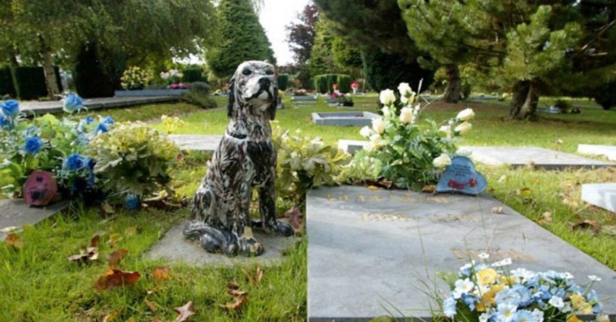 Nueva ley permite que humanos y mascotas puedan ser enterrados juntos