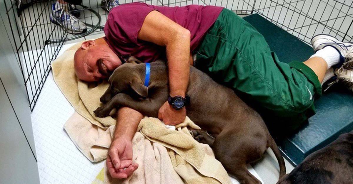 Buscan gente para pagarles por abrazar perritos. El mejor trabajo del mundo