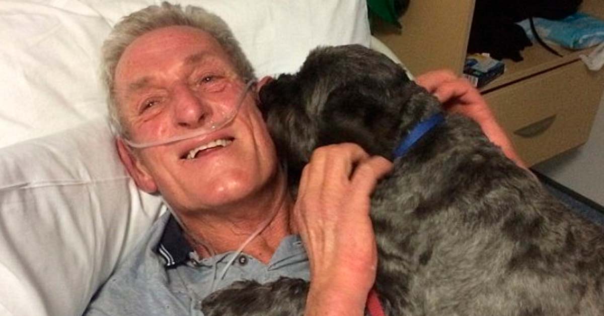 Estando en coma escuchó los ladridos de su perrito, estos le devolvieron la conciencia