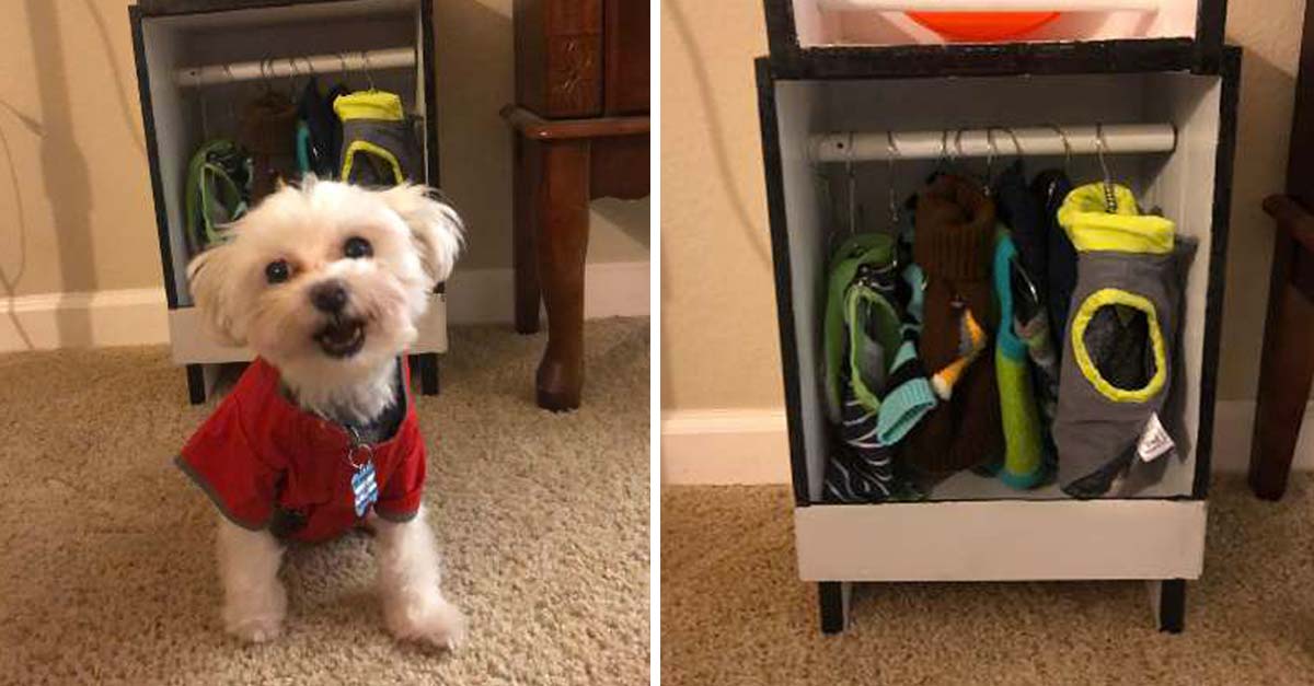 A este perrito le encanta su ropita, incluso tiene un adorable mini armario