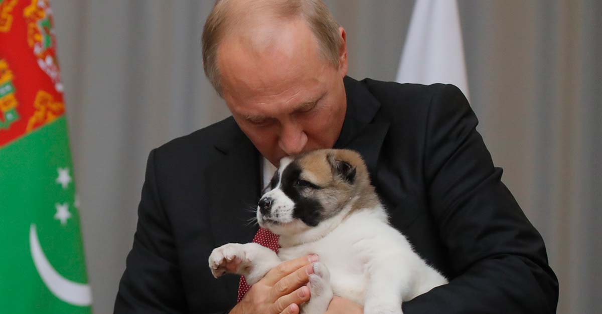 Vladímir Putin presidente de Rusia, firma ley para castigar maltratadores de animales