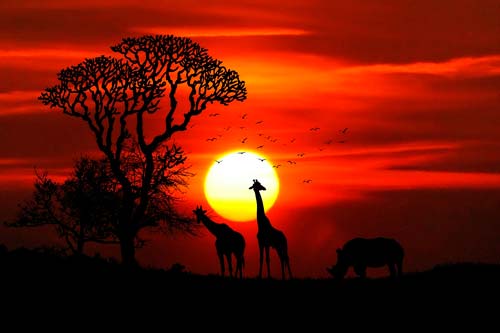 Kenia impondrá pena de muerte a cazadores ilegales de animales en peligro de extinción 5