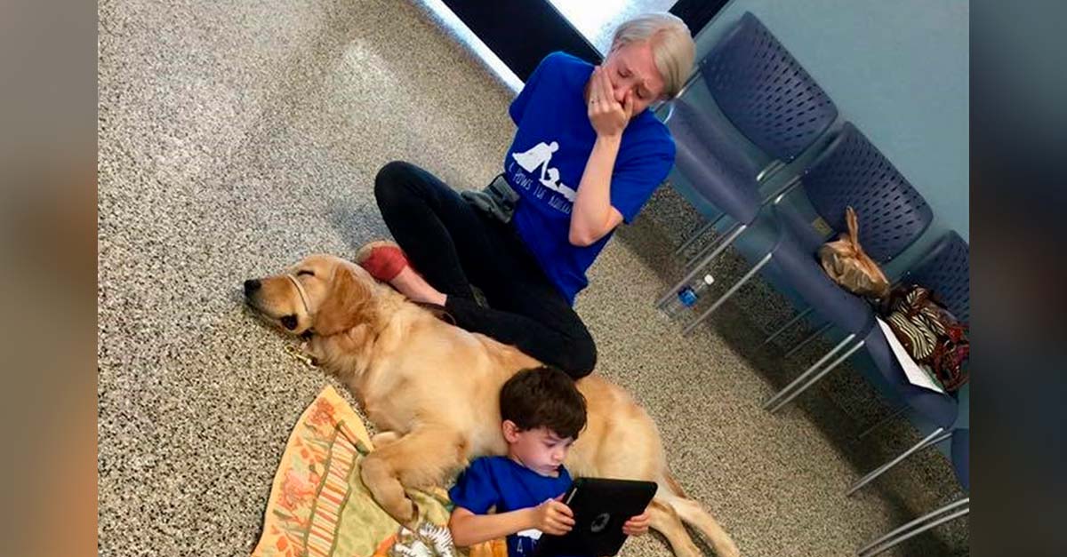 Un perrito cambió la vida de un niño con autismo y su madre no puede estar más feliz