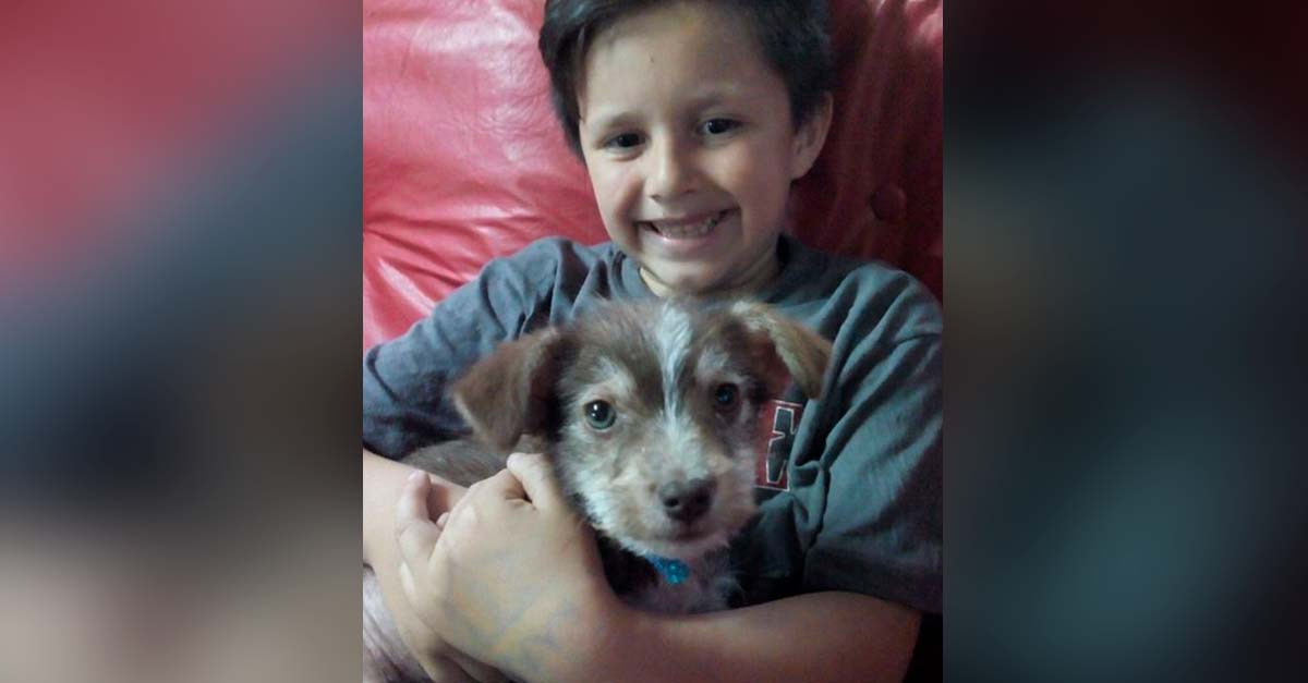 Niño salva a perrito de rufianes, con sus ahorros lo lleva al veterinario y lo adopta