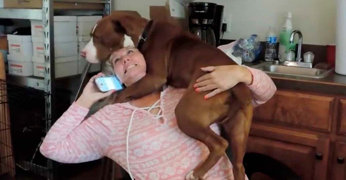Este perrito abraza con todas sus fuerzas a la mujer que le salvó la vida