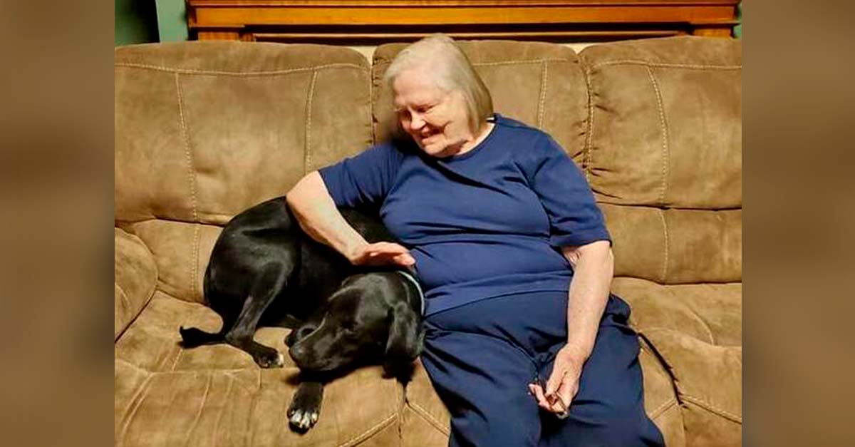 Esta abuela no toleraba al perro de su nieta y ahora está viva gracias a él