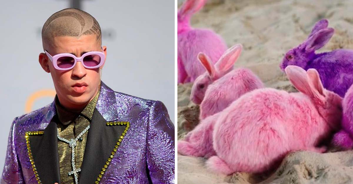 A Bad Bunny se le ocurrió pintar de rosado a unos conejitos para su nuevo vídeo *