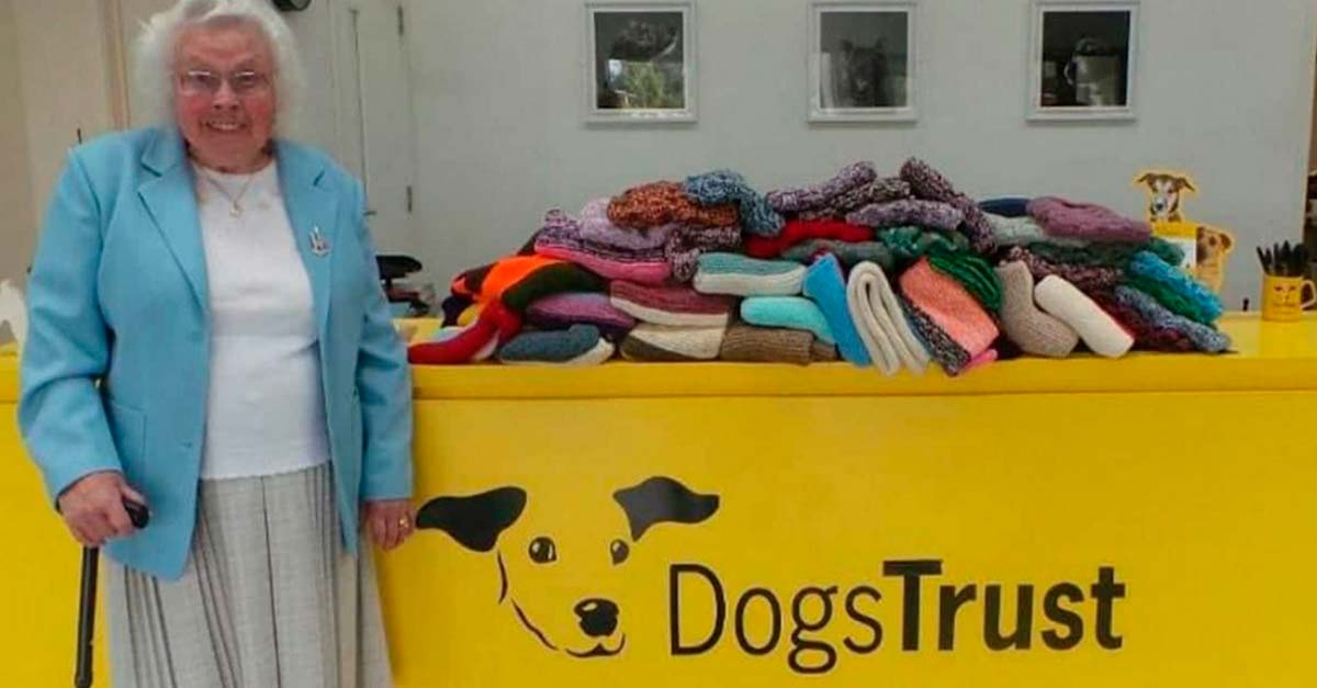 Abuelita de 89 años tejió a mano 450 abrigos para donarlos a perritos abandonados