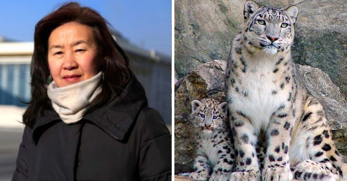 Maestra enfrentó y venció la industria minera para salvar al leopardo de las nieves