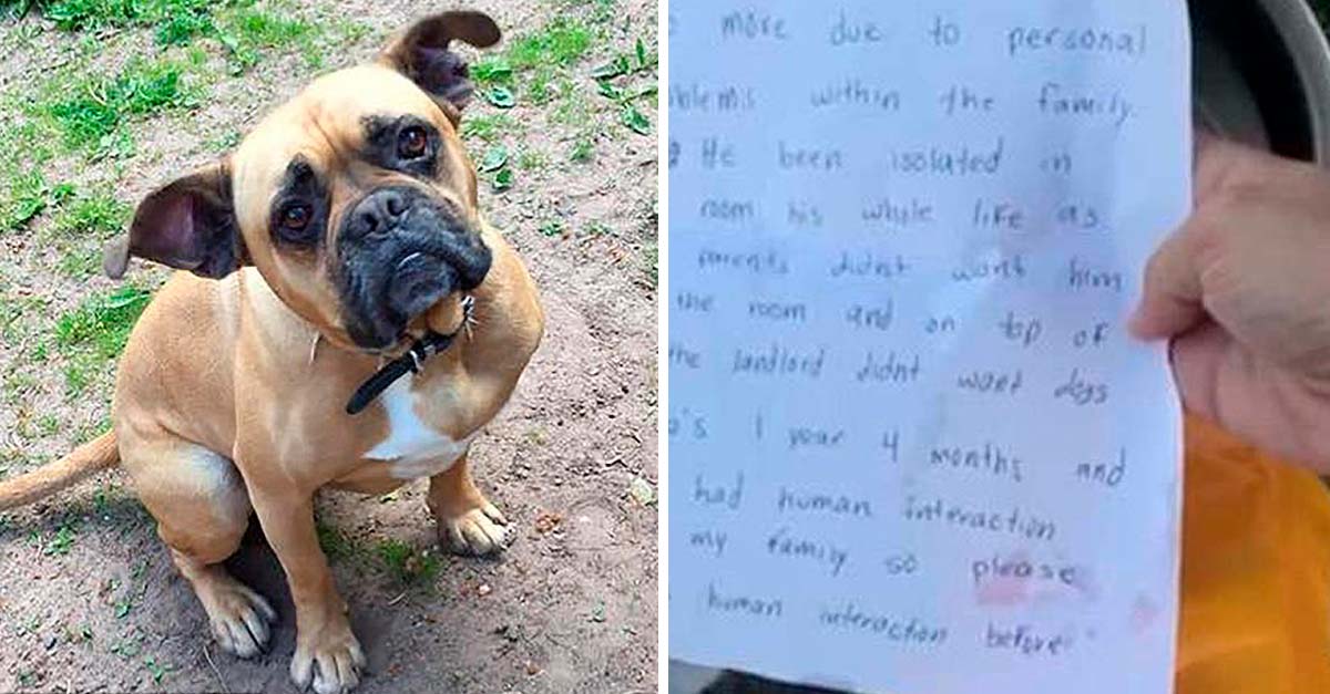 Sus padres no querían al perrito y tuvo que dejarlo en un refugio con una triste nota