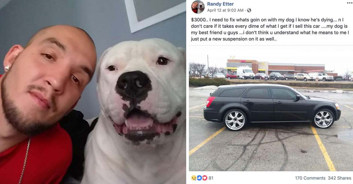 Este hombre no dudó en perder su auto si así salvaba a su mejor amigo