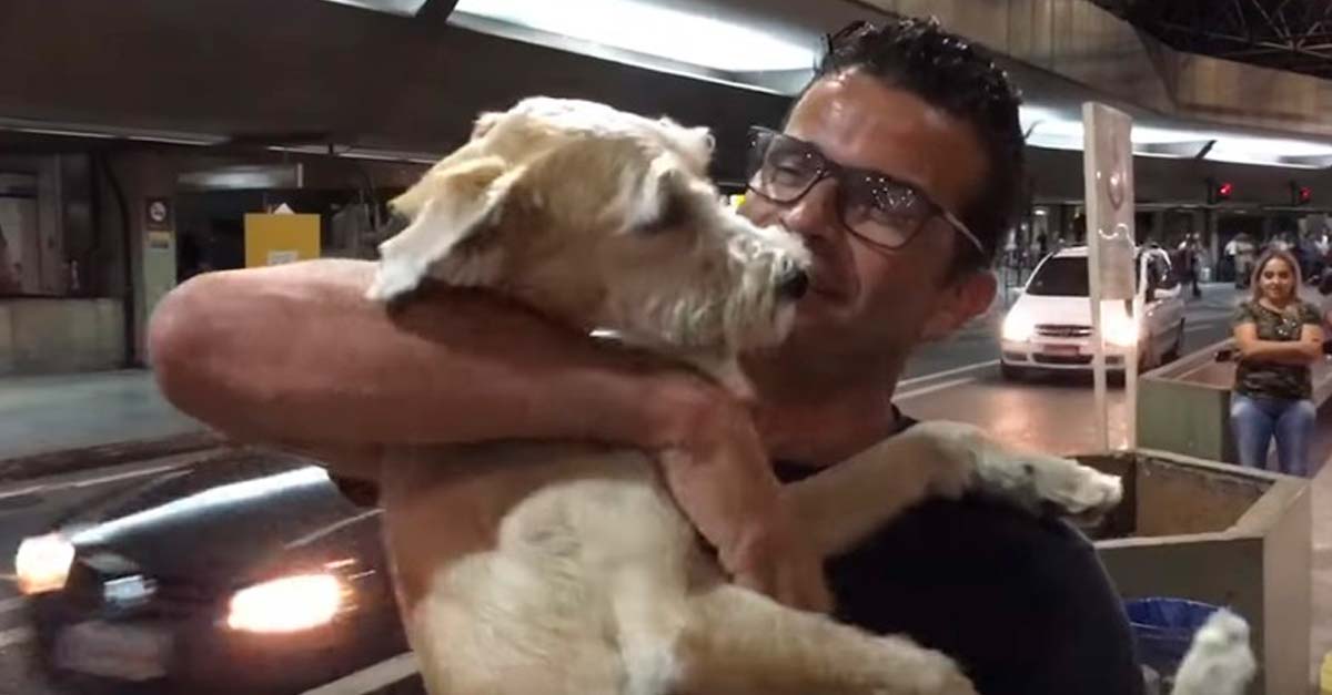 Hombre ayuda a venezolanos que abandonaron su país a reencontrarse con sus perros