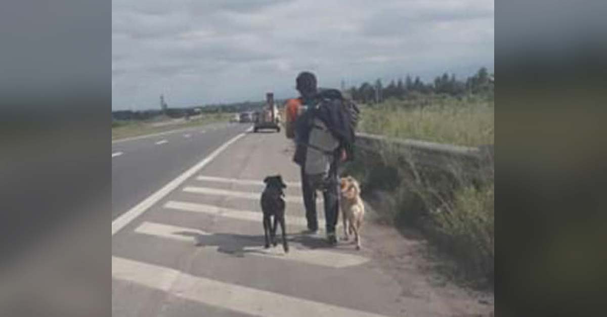 Tuvo que volver a su país a pie porque rescató dos perritos y nadie lo llevaba