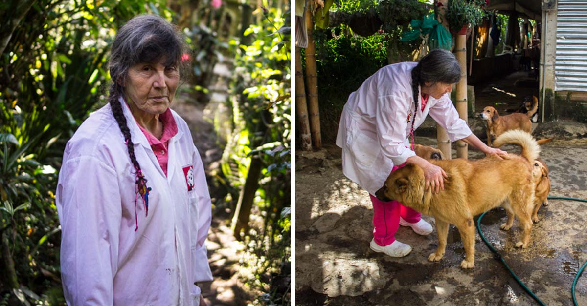 Con 67 años tiene 400 animales refugiados en su casa y no para de luchar por los callejeritos
