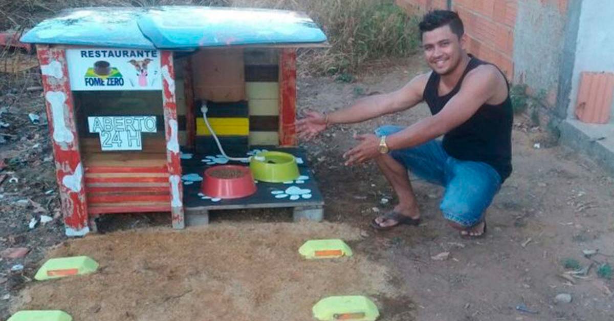 Joven construye restaurantes para animalitos callejeros que están abiertos las 24 horas
