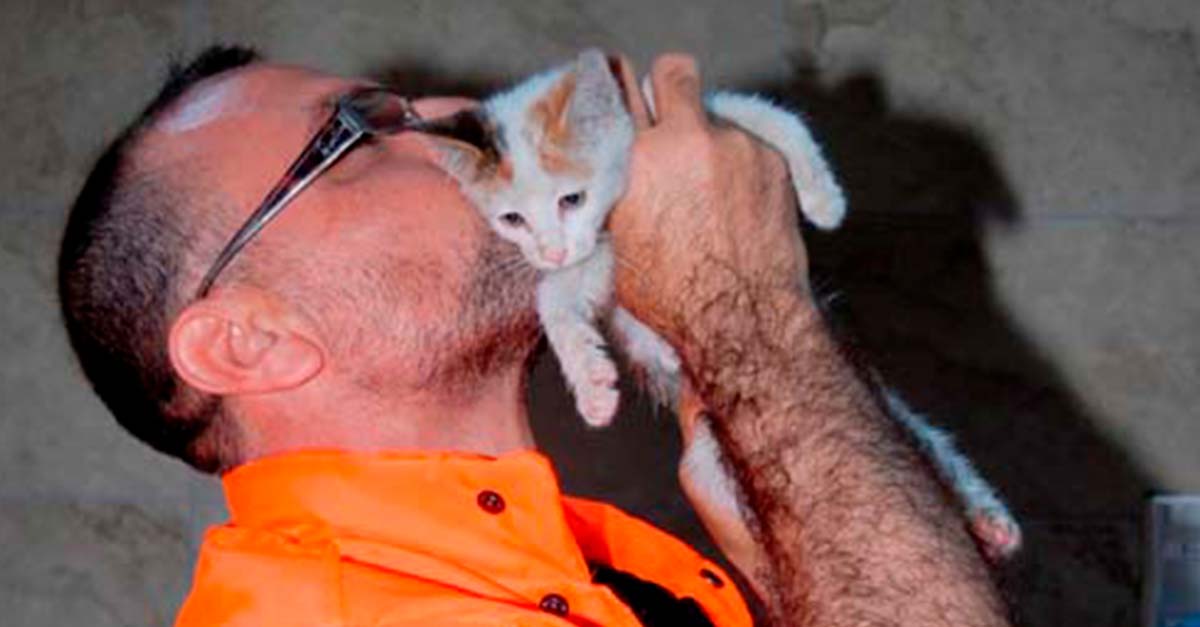 Este hombre se metió en una inundación para salvar a una gatita que se estaba ahogando