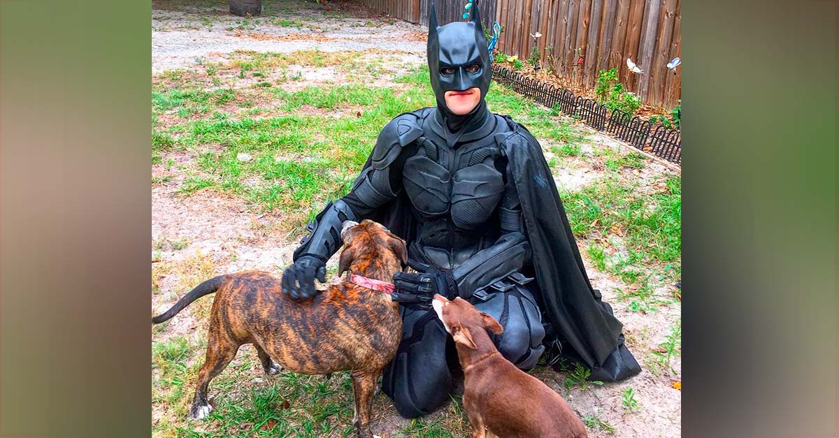 Batman existe en la vida real y se dedica a rescatar perritos y gatitos de la calle