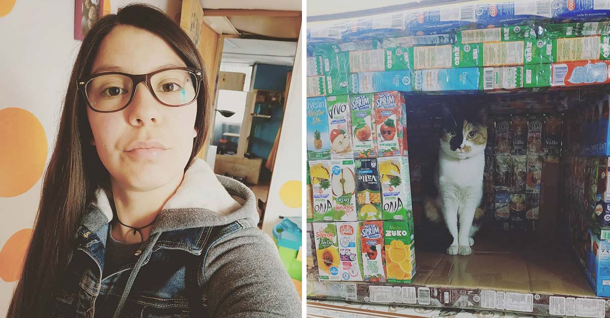 Esta chica reúne cajas de jugo y con ellas le construye casitas a los gatitos de la calle