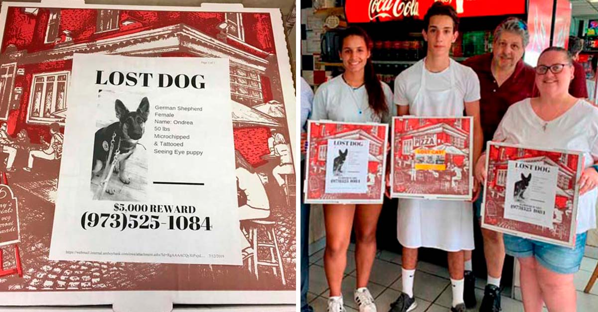Pizzeria ayuda a encontrar animalitos perdidos poniendo avisos en sus cajas