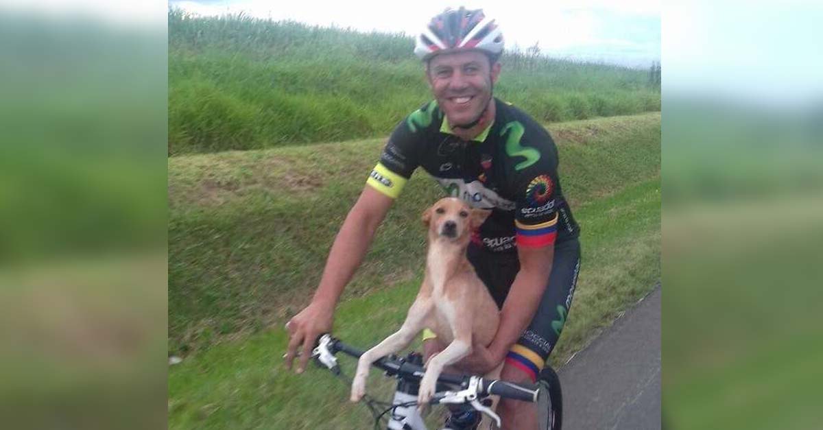 Este ciclista salió a entrenar y regresó a casa con un perrito que había sido abandonado