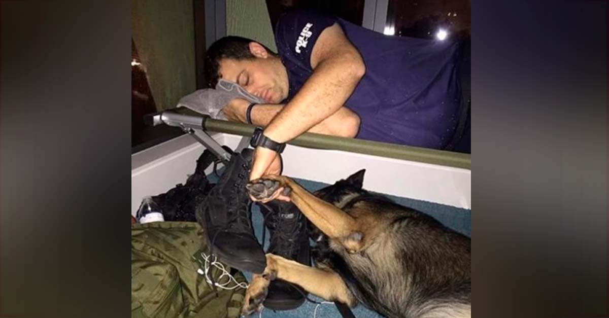 Militar y su perrito compañero se toman la mano luego de una dolorosa misión de rescate