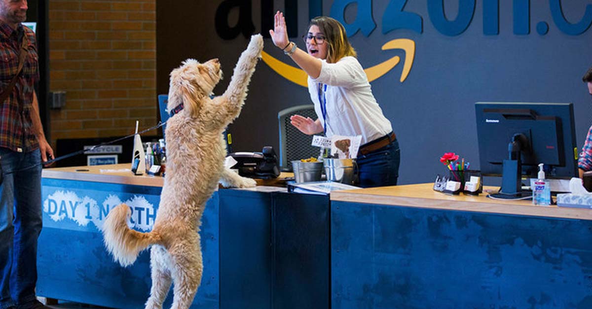 Amazon quiere que todos sus empleados lleven a sus animalitos a la oficina