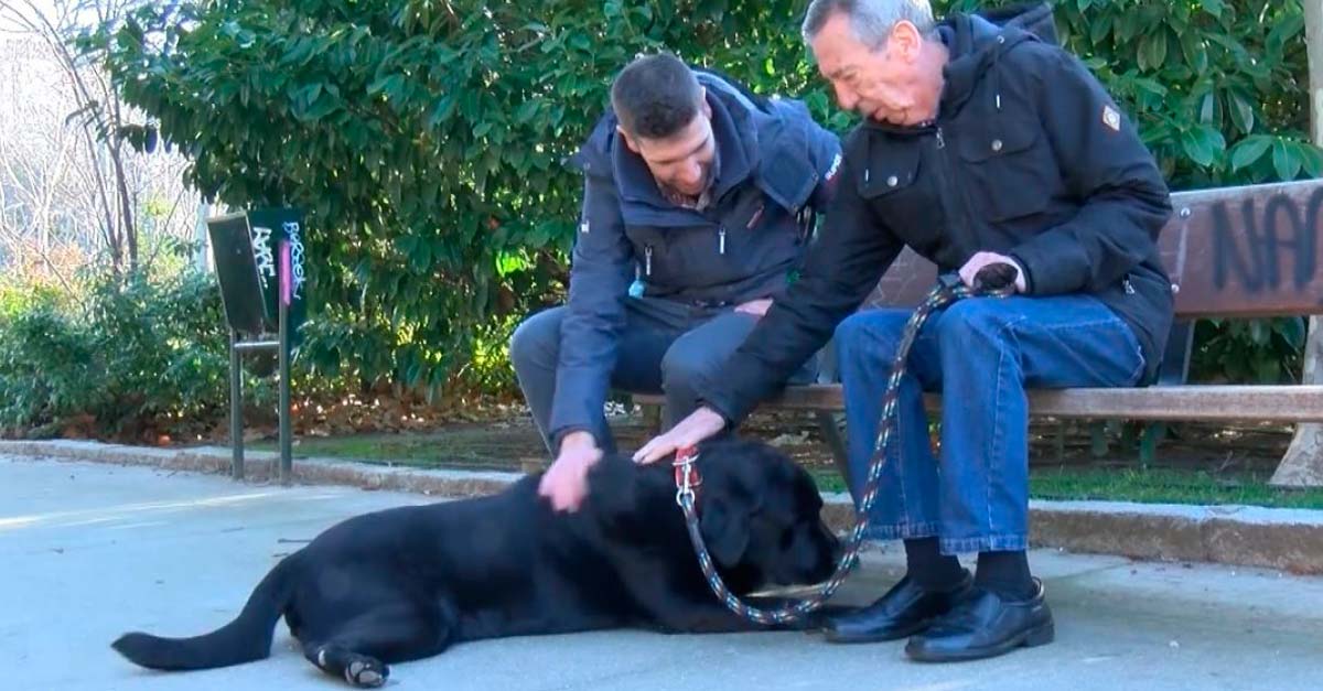 “Él recuerda todo lo que yo olvidé” abuelito con Alzheimer recupera su vida gracias a un perro