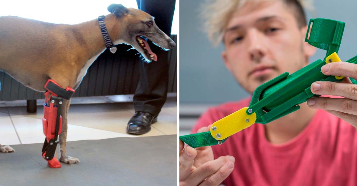 Este chico desarrolla avanzadas prótesis para regalarlas al perrito que las necesite