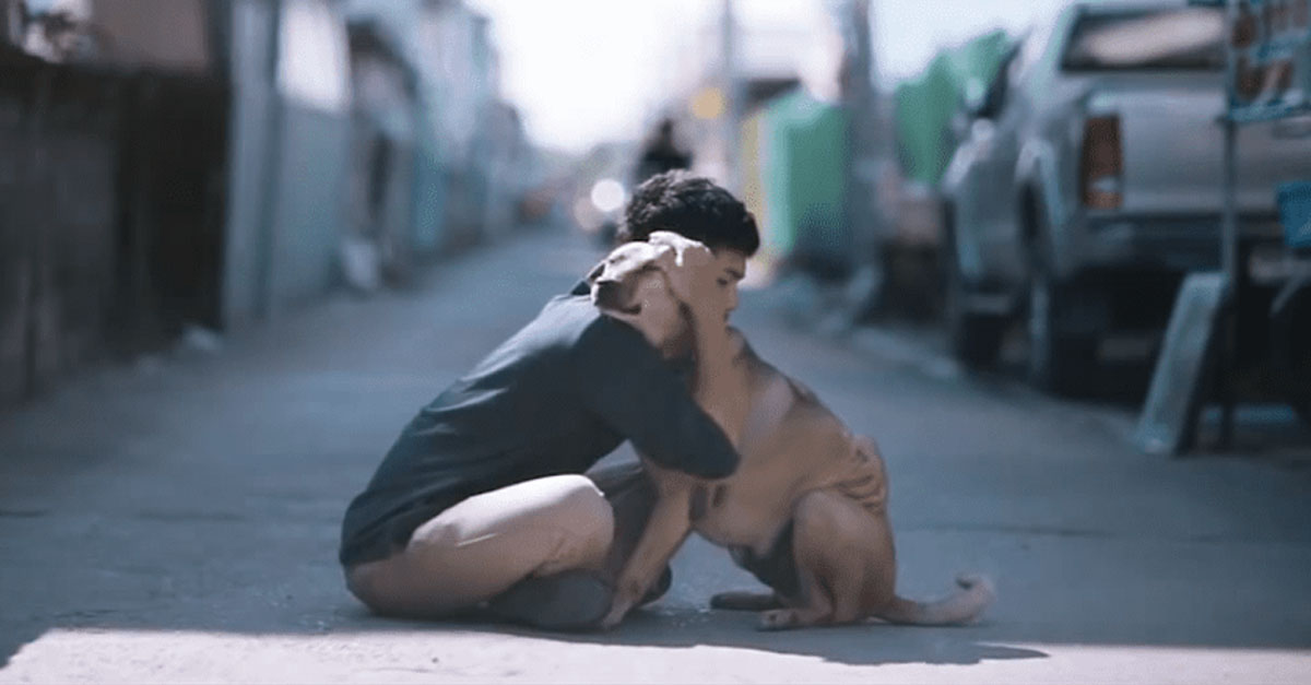 Este chico sale todos los días a abrazar perritos de la calle, los ama