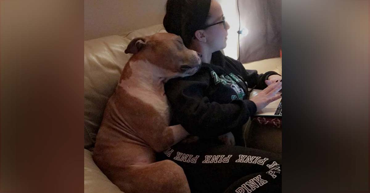 Este perrito no puede parar de abrazar a la mujer que lo rescató