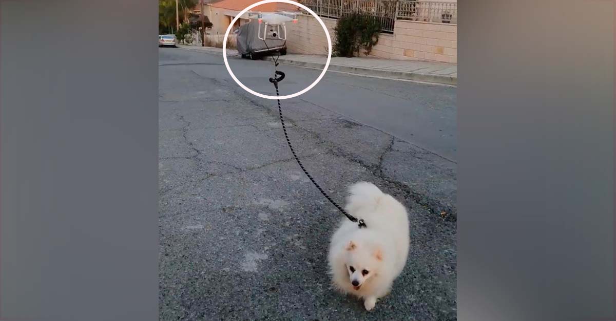 Para no exponerse al exterior, un hombre envió a su drone a pasear a su perrito