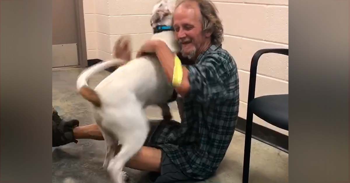 Hombre sin hogar por fin pudo abrazar a su perrito perdido, pasó meses buscándolo