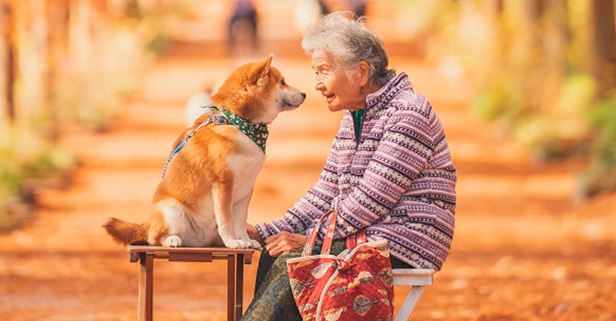 Imágenes que capturan la hermosa relación de una abuelita con su perrito