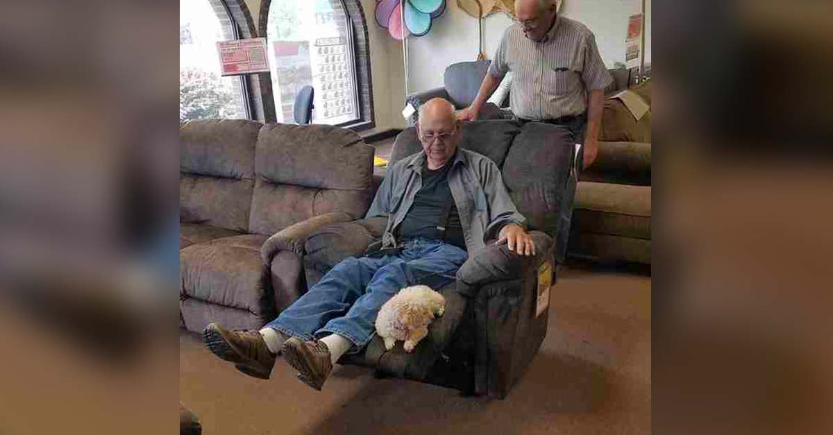 Señor lleva a su perrita a la tienda de muebles para que dé su aprobación al nuevo sofá