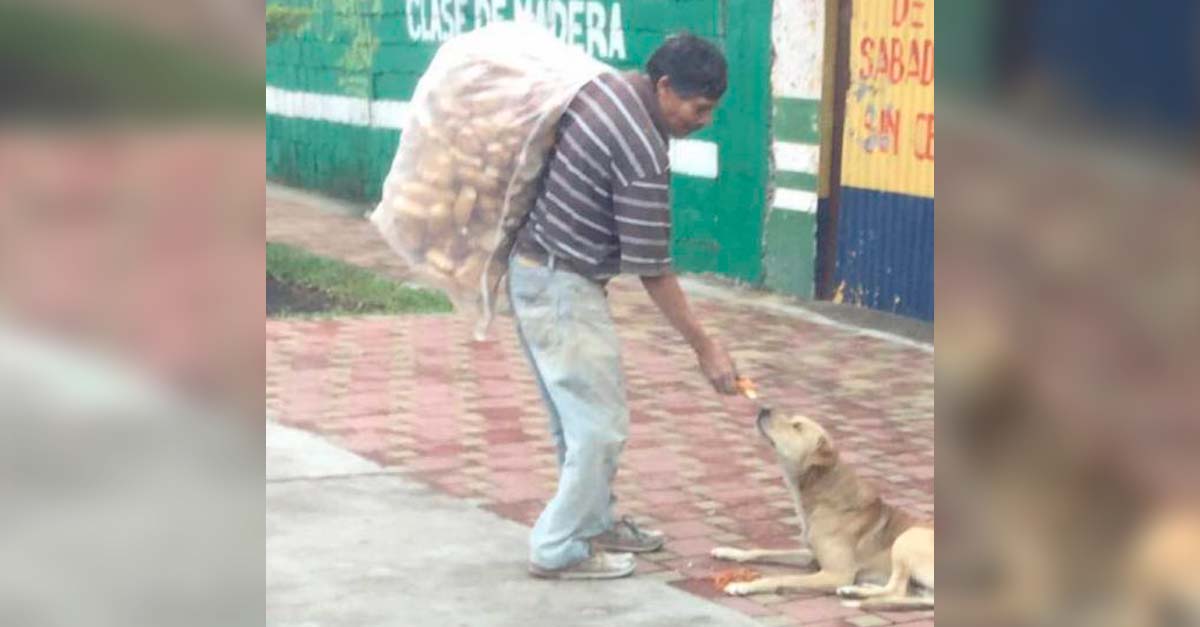 Su pequeño sueldo lo reparte entre sus necesidades y alimento para perros de la calle