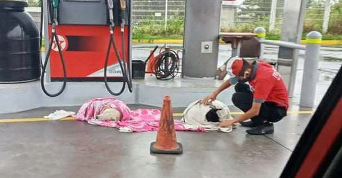 Empleado de estación de gasolina aprovecha sus descansos para cuidar perritos callejeros