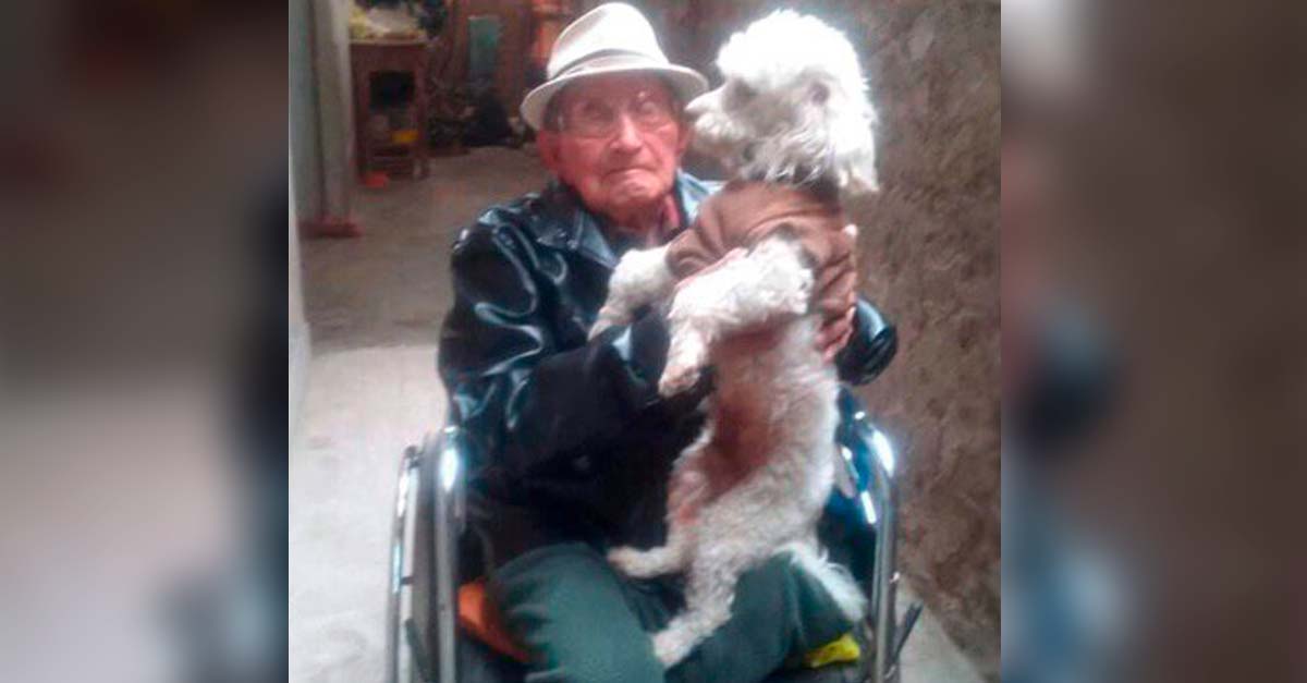 Abuelito nos pide ayuda para encontrar a su amado perro Coco