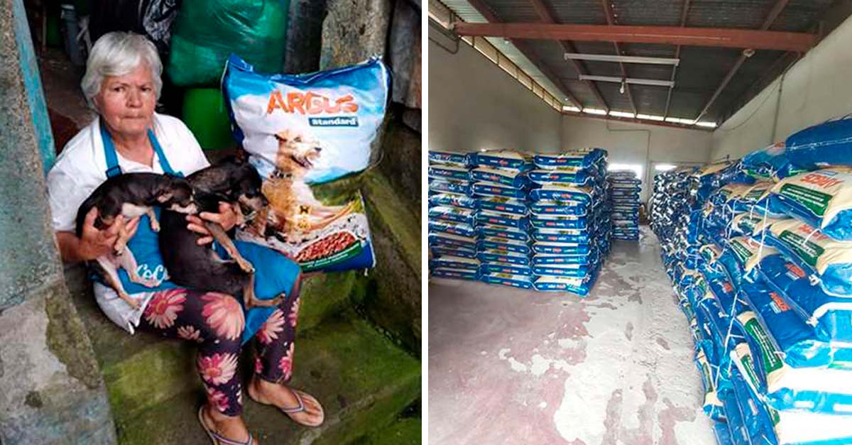 Gobierno compró 37 mil kilos de comida para refugios animalistas afectados por la pandemia