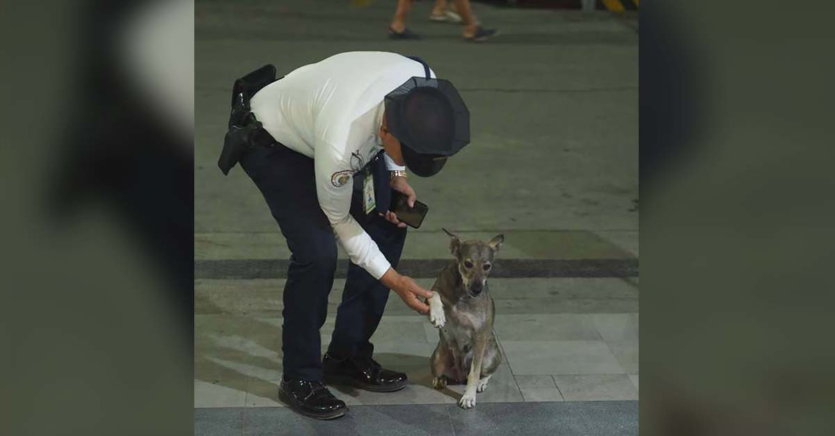 Guardia de un centro comercial que prohíbe animales cuida a escondidas a una callejerita
