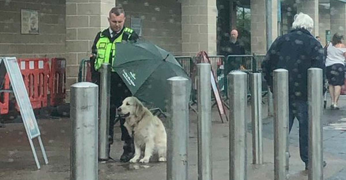 Guardia de seguridad de centro comercial cede su paraguas al perrito de un cliente