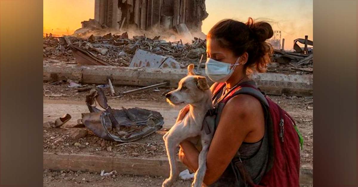 Voluntarios animalistas rescatan peluditos de los escombros de la explosión de Beirut