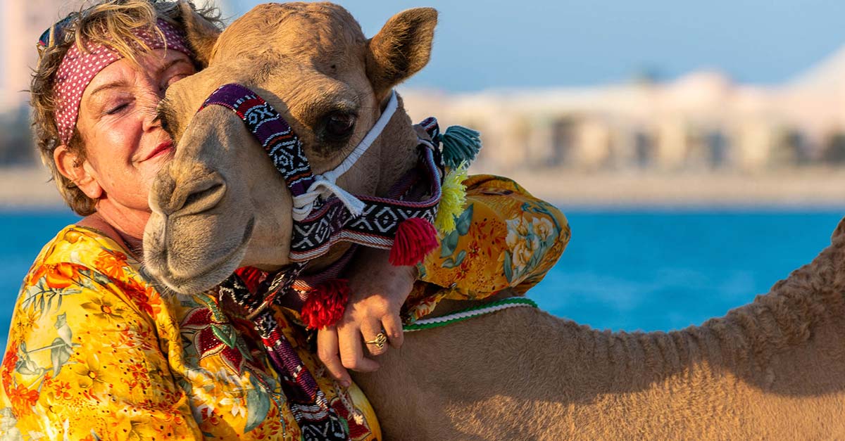 Renunció a su exitosa carrera para viajar a Emiratos y adoptar 40 camellos en necesidad