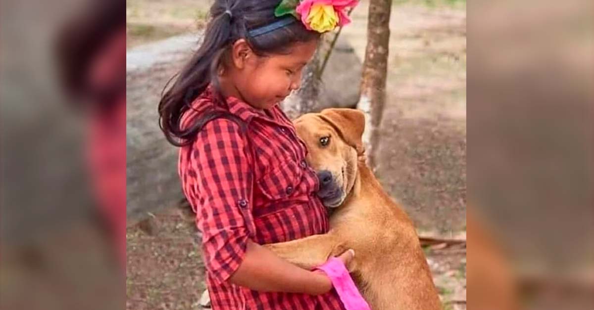 Este perrito abrazó a su niña con todas sus fuerzas, fue la forma de decirle GRACIAS!