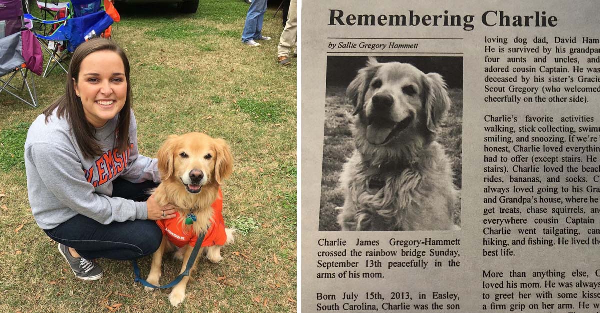 Le escribió un obituario a su perrito para despedirlo después de su lucha contra el cáncer