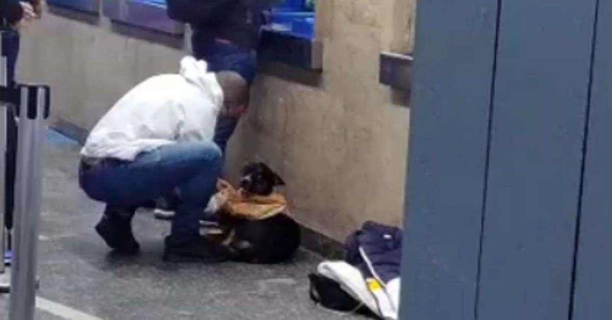 Joven le puso su abrigo a un perrito callejero que tiritaba de frío en el metro