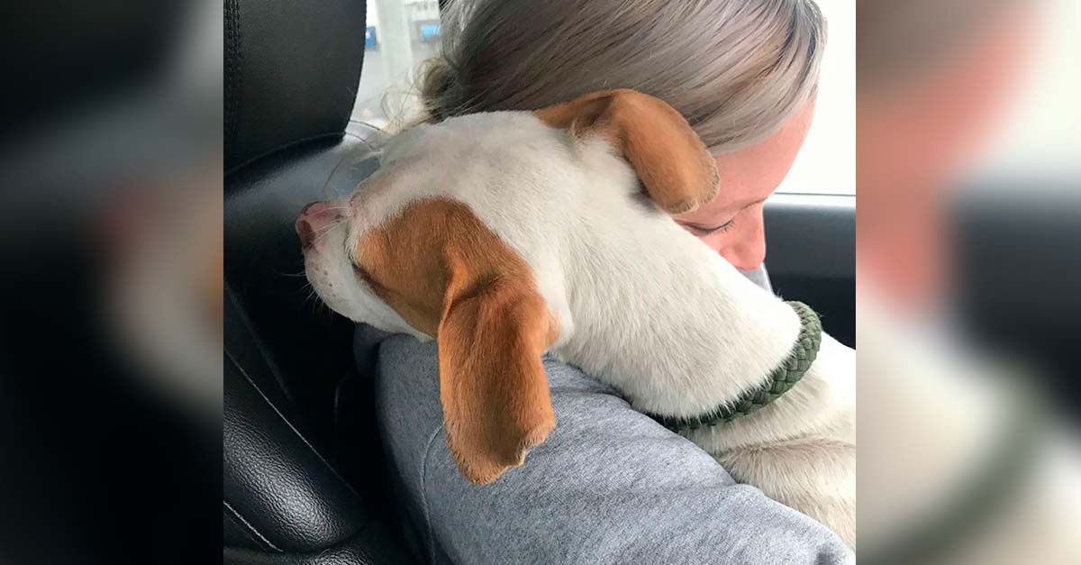 Este agradecido perrito abrazó a la mujer que lo salvó de vivir en la horrible calle